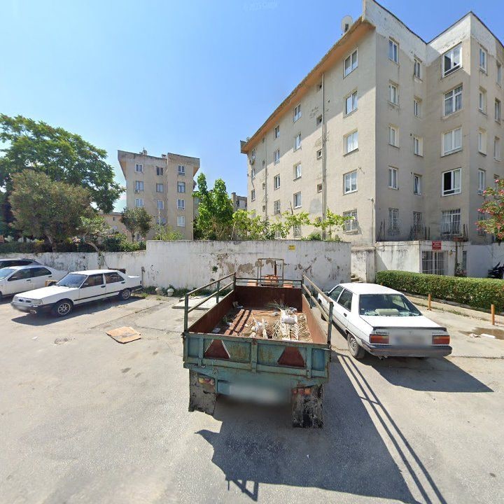 Fotoğraf 11
