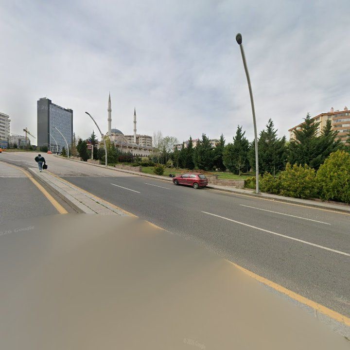Fotoğraf 15