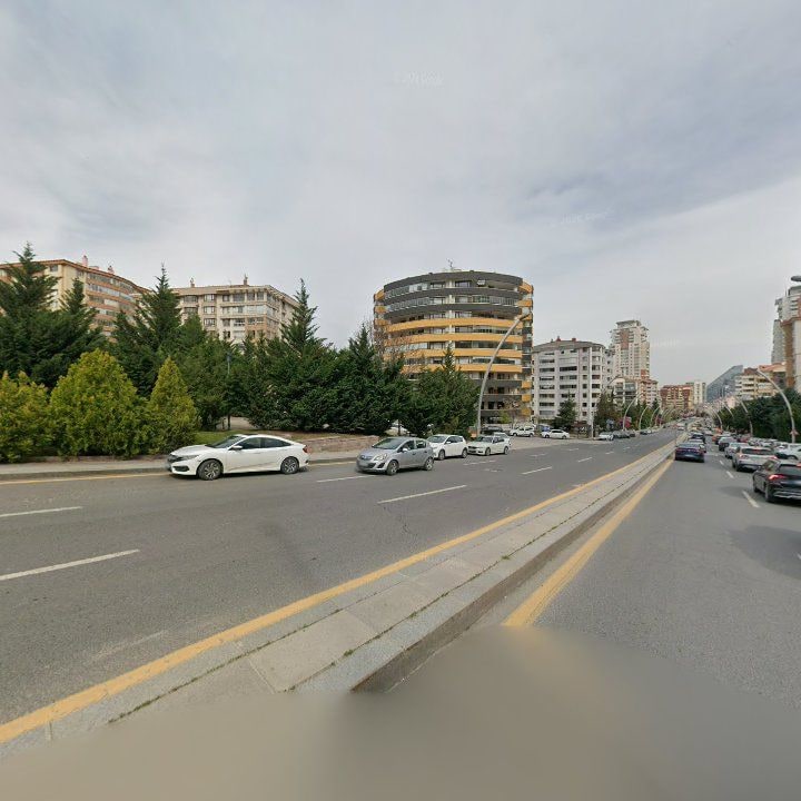 Fotoğraf 16