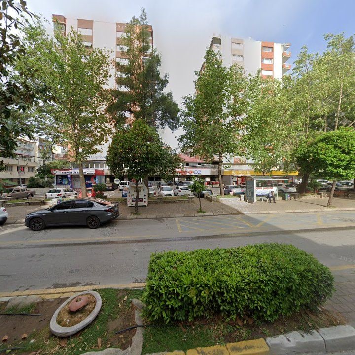 Fotoğraf 9