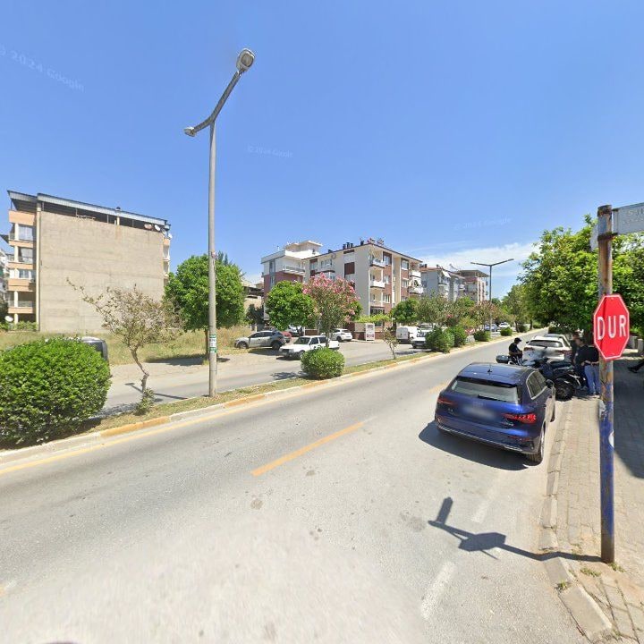 Fotoğraf 12