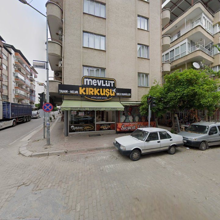 Fotoğraf 11