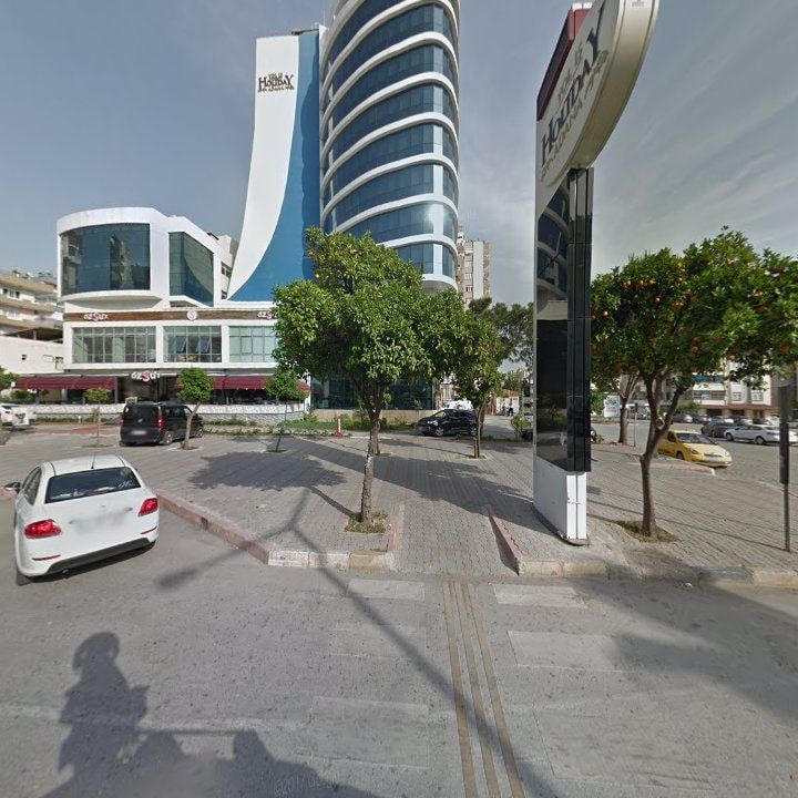 Özsüt
