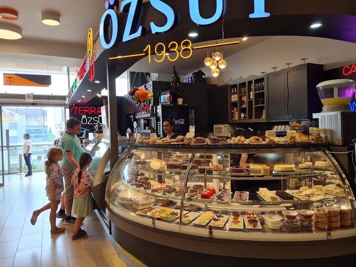 Özsüt