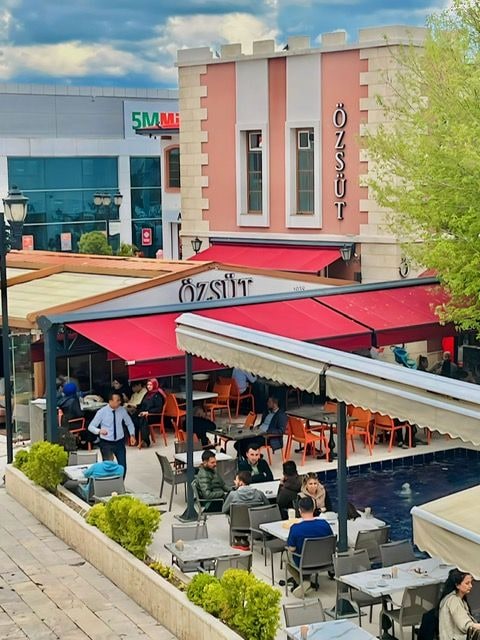 Özsüt