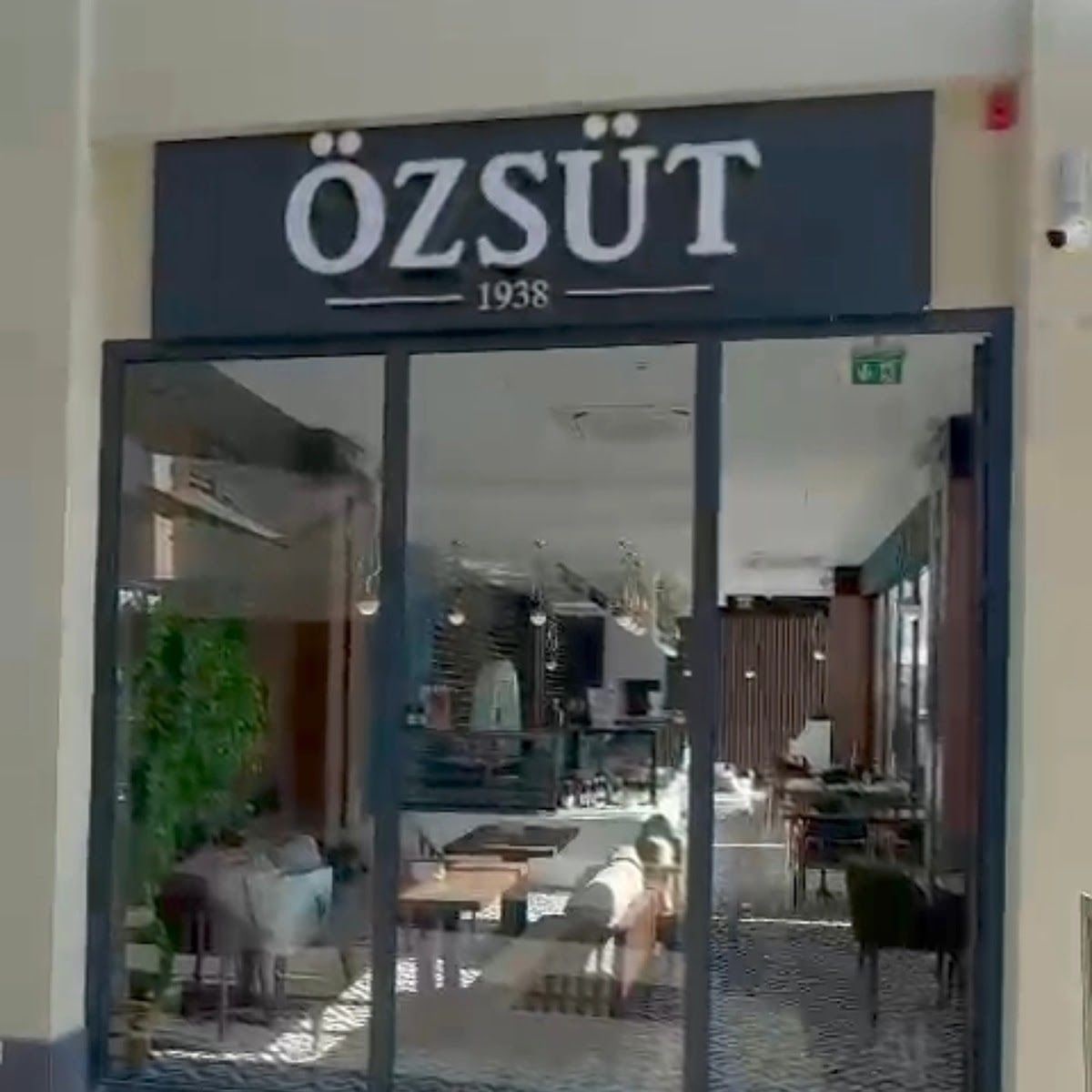 Özsüt