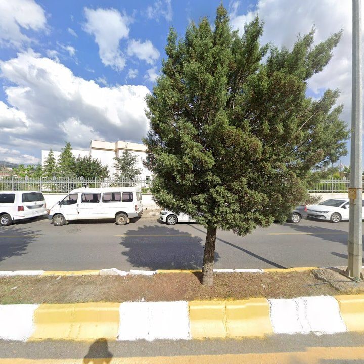 Fotoğraf 9