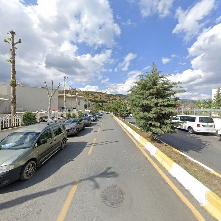 Fotoğraf 8