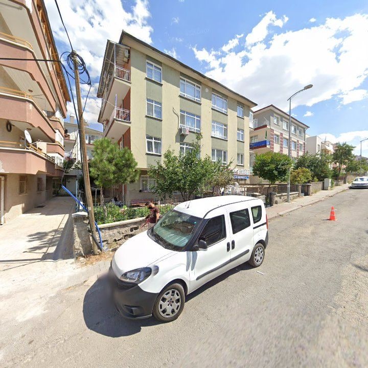 Fotoğraf 7