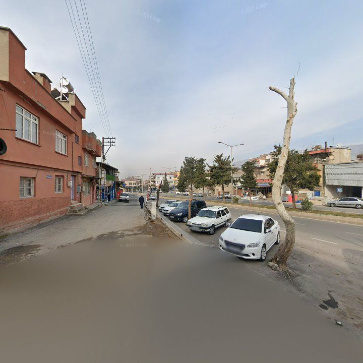 Fotoğraf 3