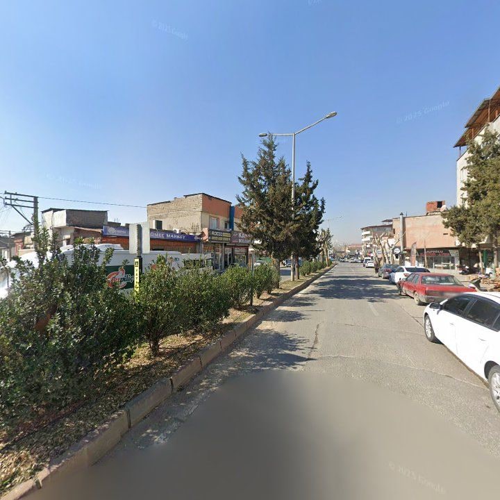 Fotoğraf 8