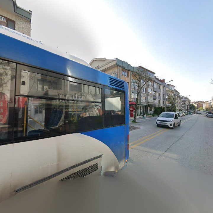 Fotoğraf 10