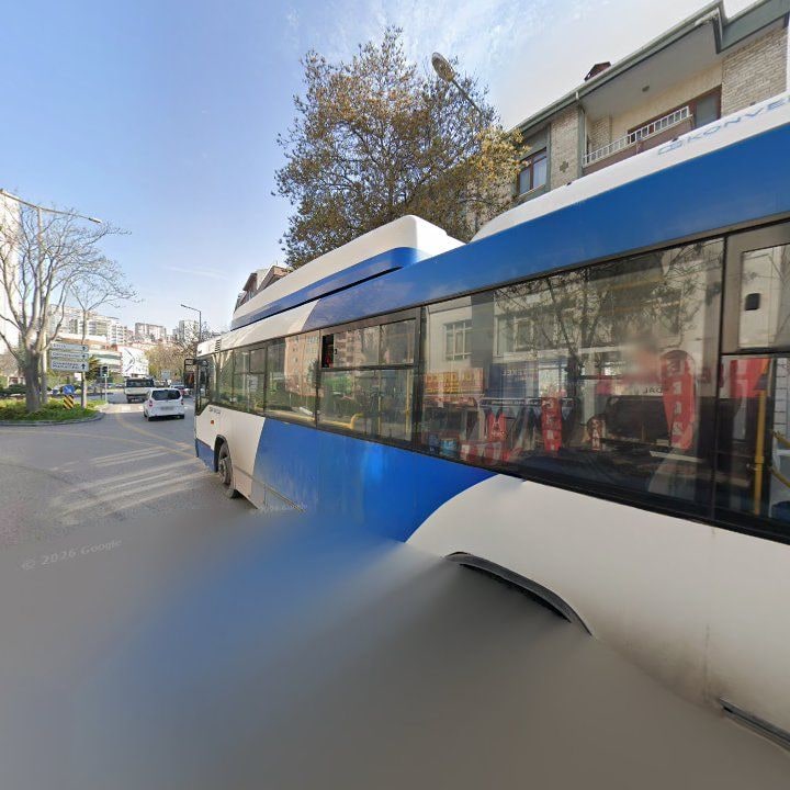 Fotoğraf 13