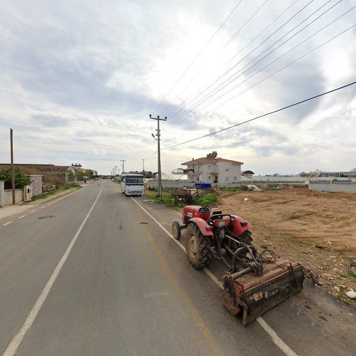 Fotoğraf 8