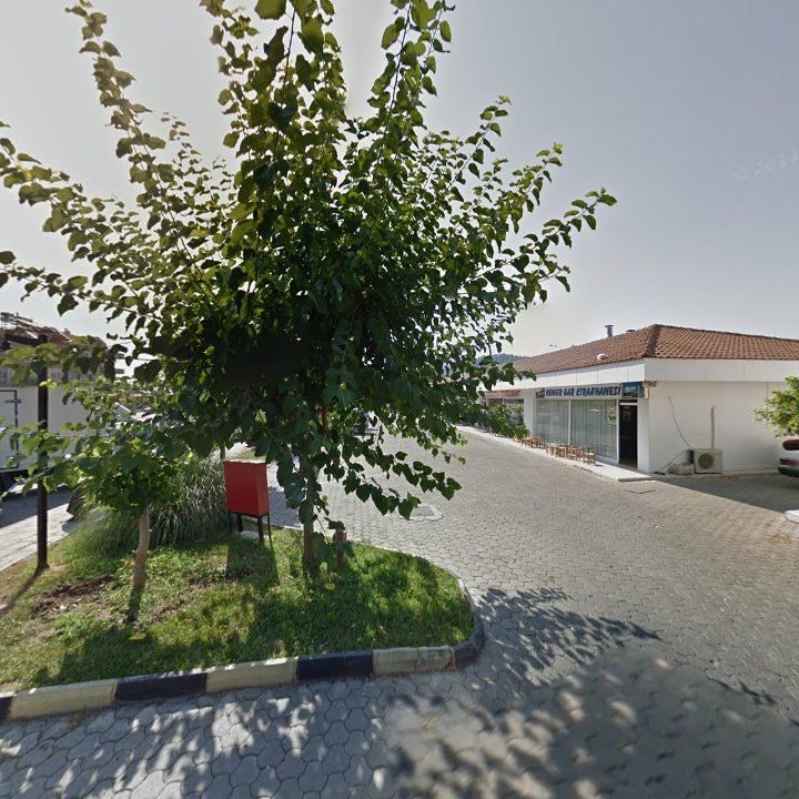 Fotoğraf 7