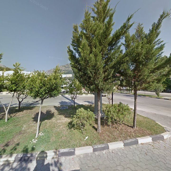Fotoğraf 9