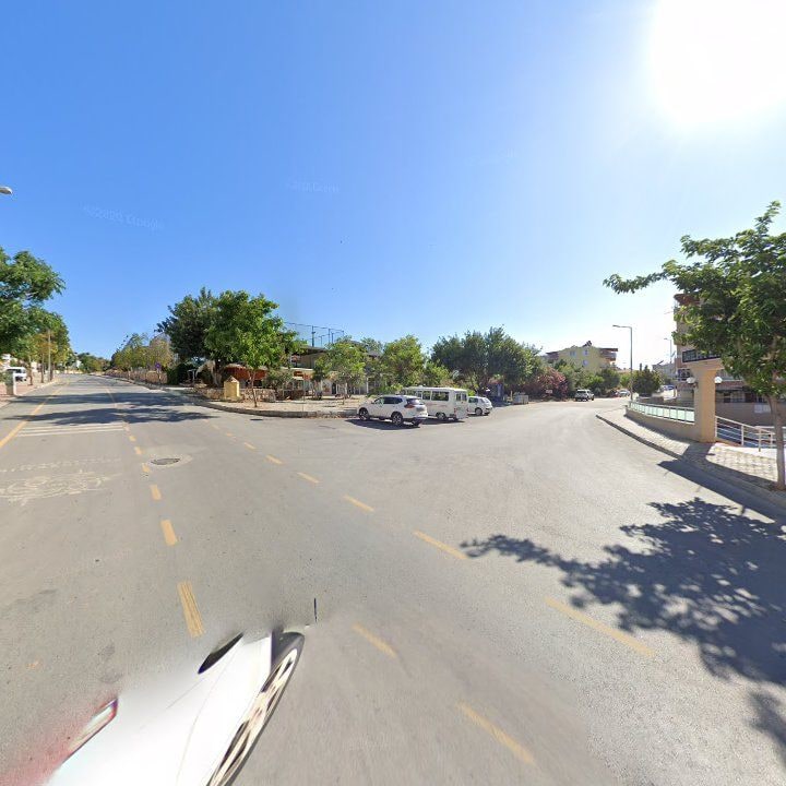 Fotoğraf 9