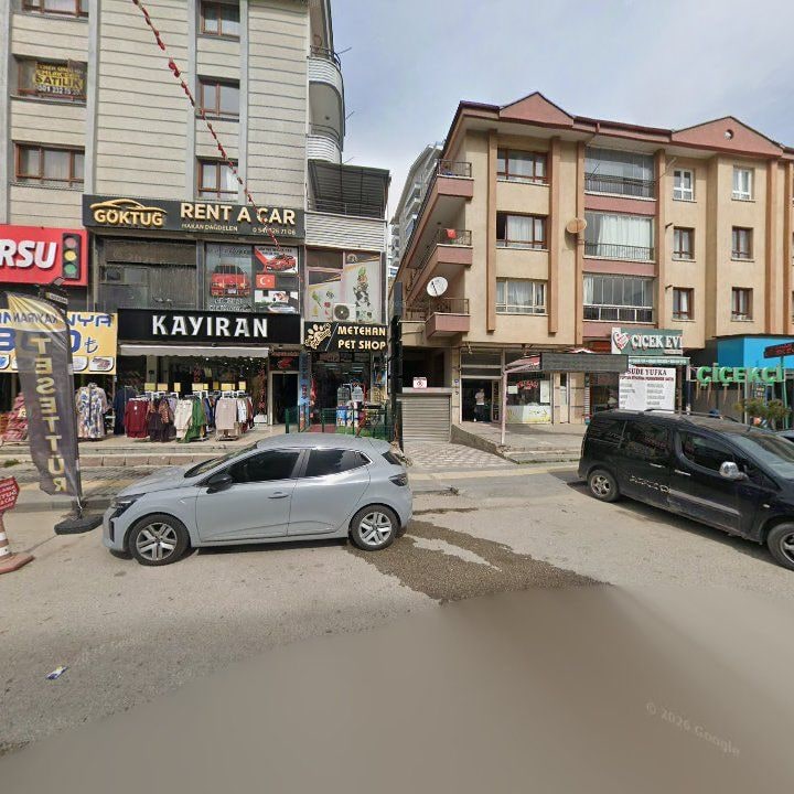 Fotoğraf 3