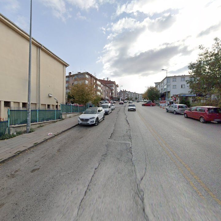 Fotoğraf 8