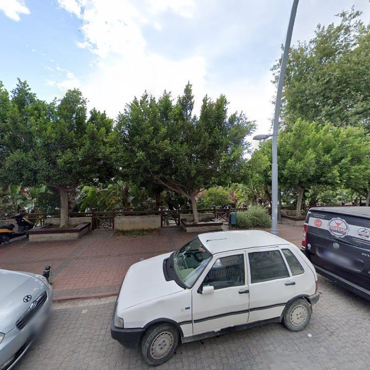 Fotoğraf 17