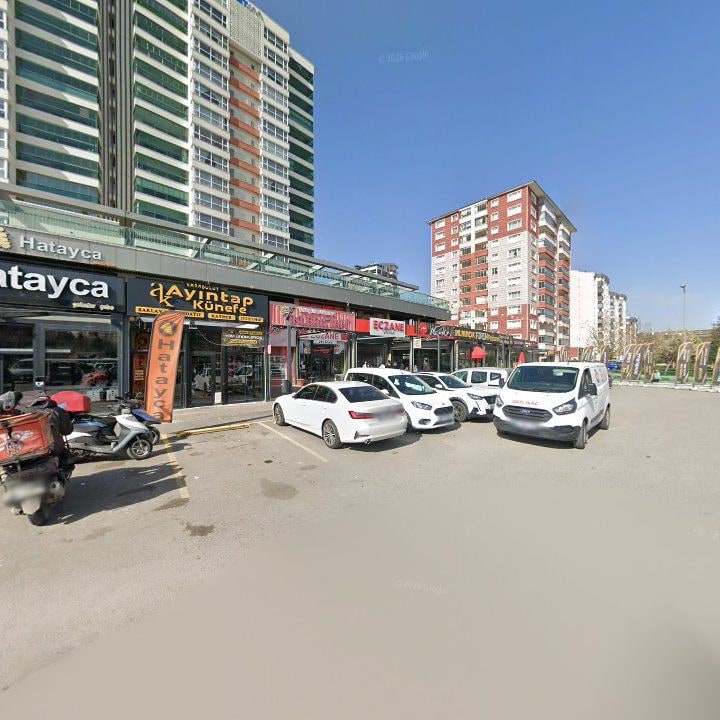 Fotoğraf 8