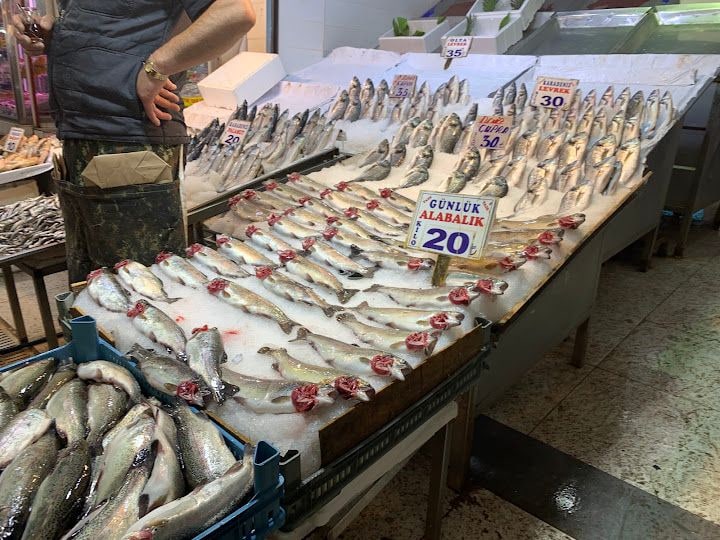 Fotoğraf 3