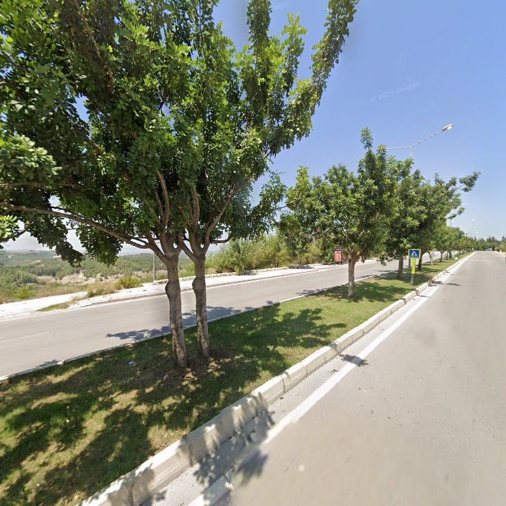 Fotoğraf 8