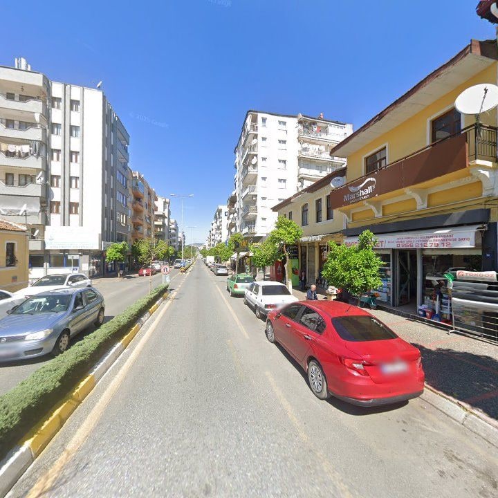 Fotoğraf 8