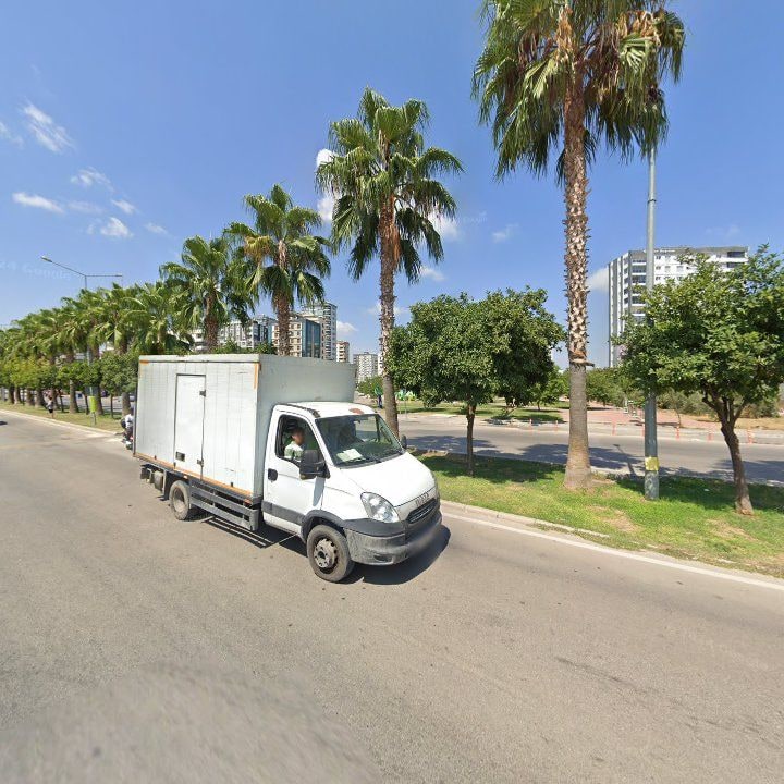 Fotoğraf 10