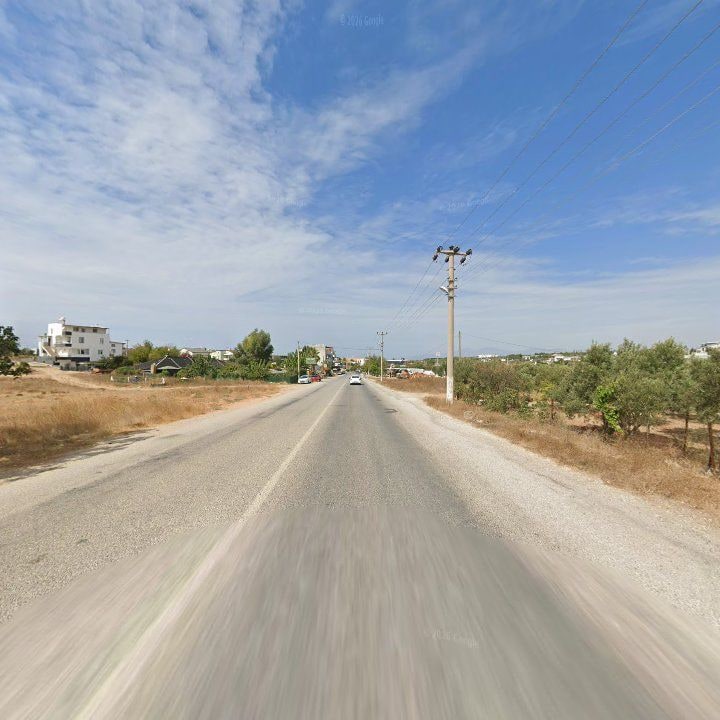 Fotoğraf 6