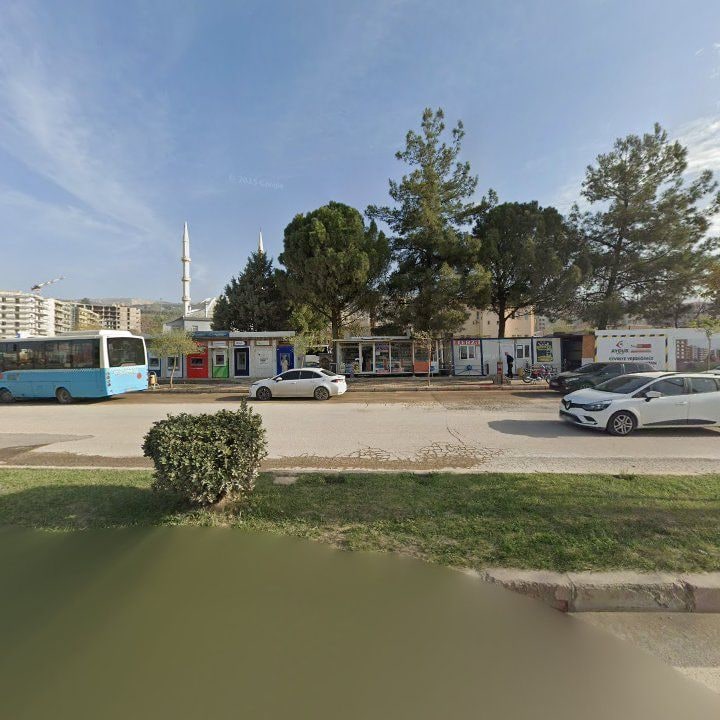 Fotoğraf 7
