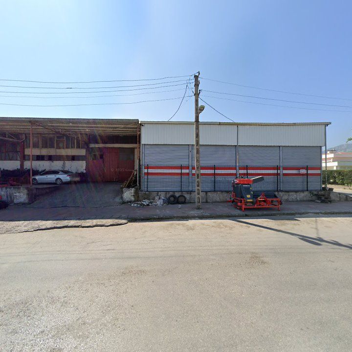 Fotoğraf 7