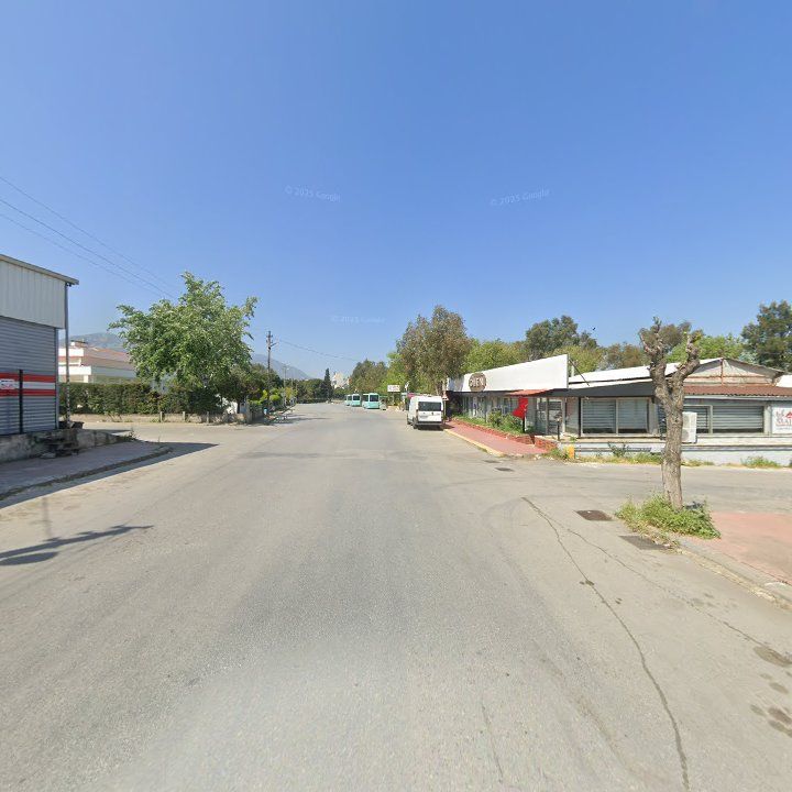 Fotoğraf 8