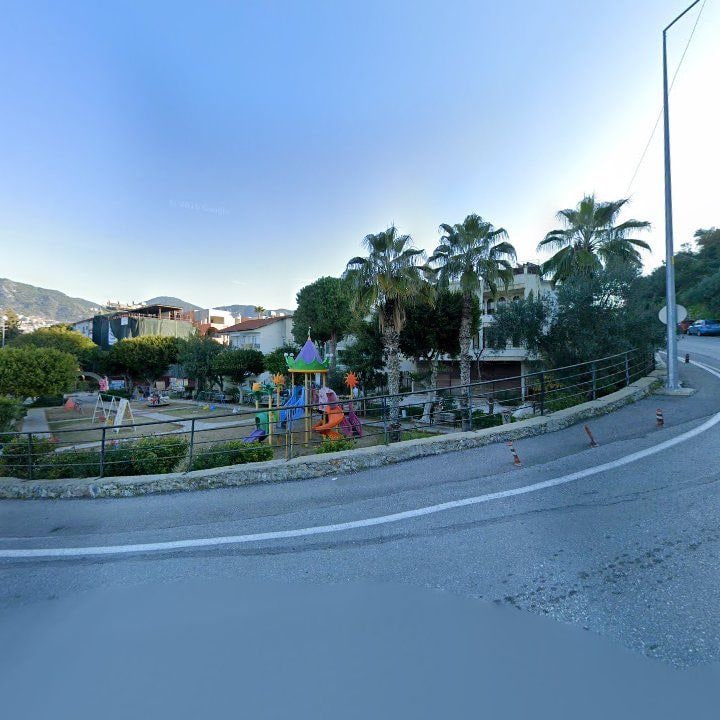 Fotoğraf 8
