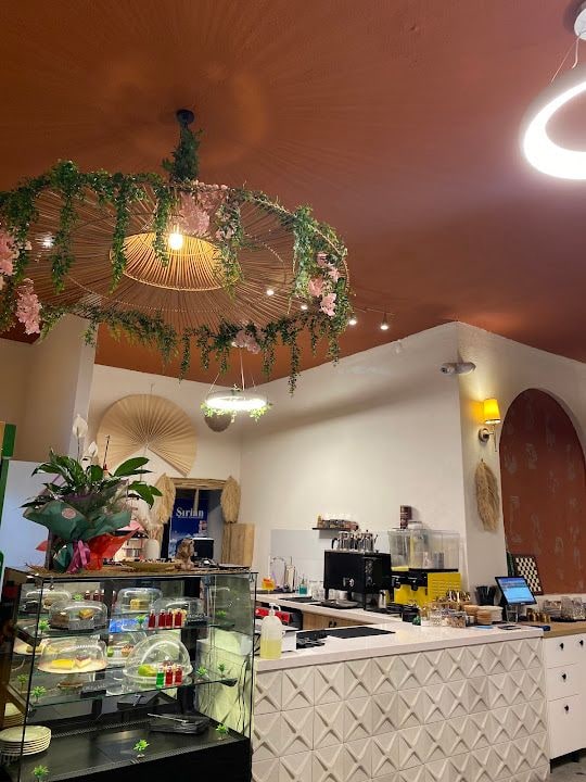 Palm Local