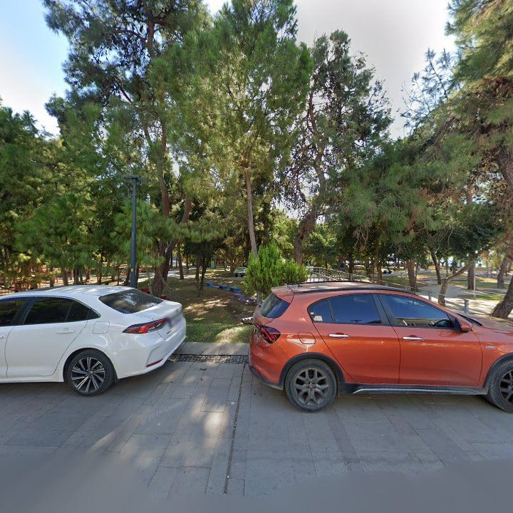 Fotoğraf 10