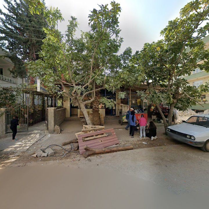 Palmiye Fırını