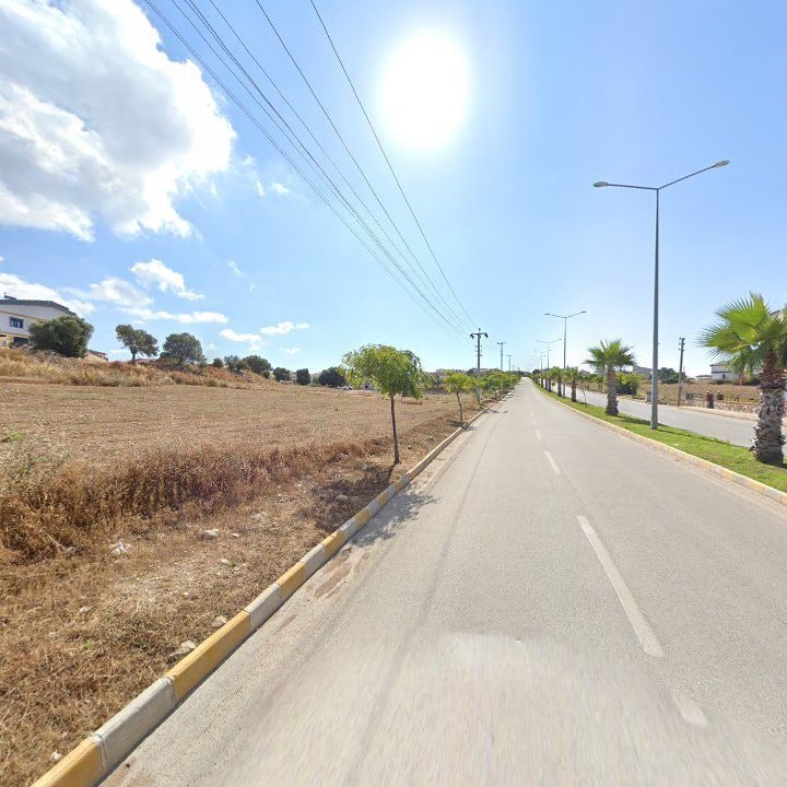 Fotoğraf 10