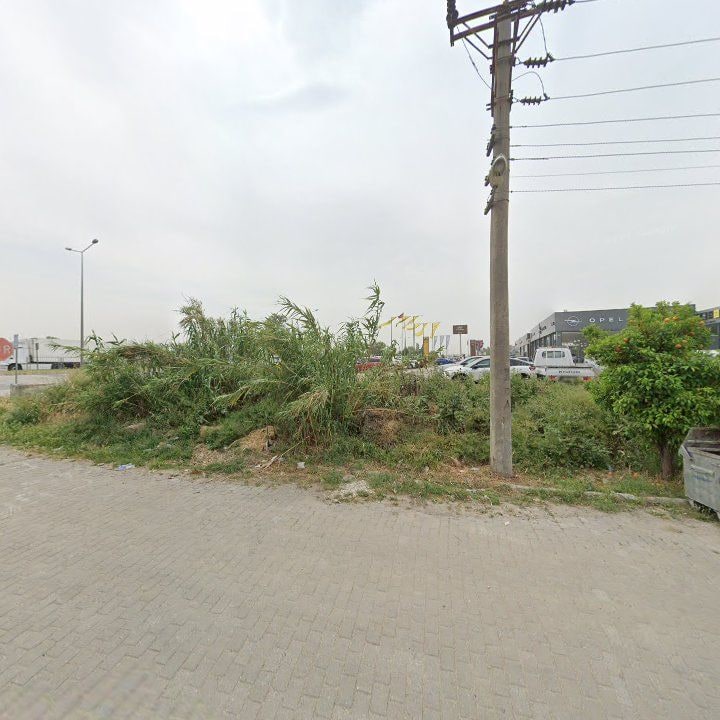 Fotoğraf 6