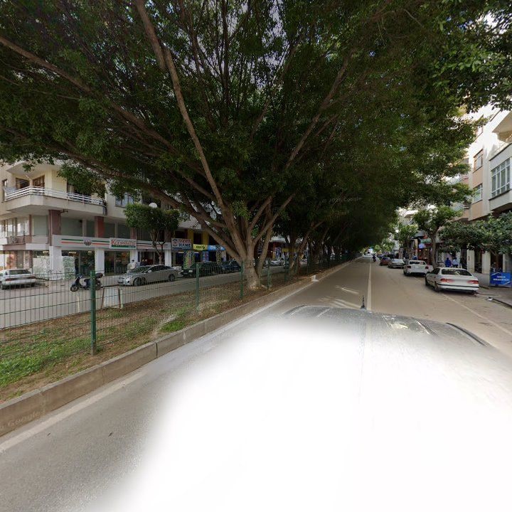 Fotoğraf 10