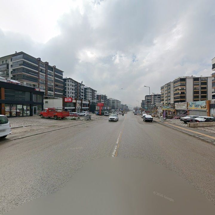 Fotoğraf 5