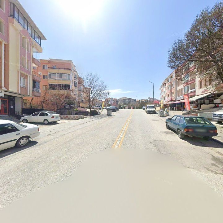 Fotoğraf 10