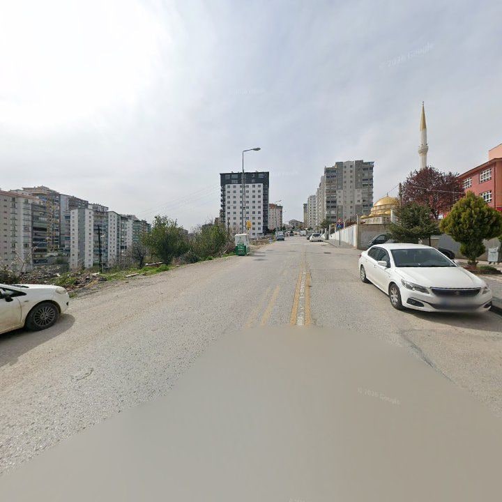 Fotoğraf 8