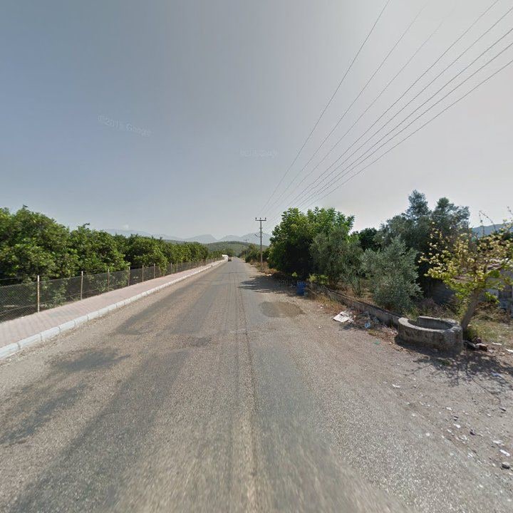 Fotoğraf 10