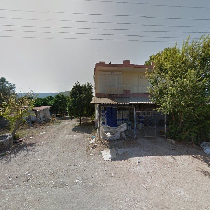 Fotoğraf 11
