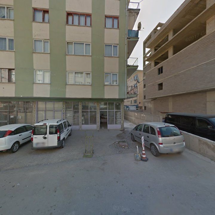 Fotoğraf 7