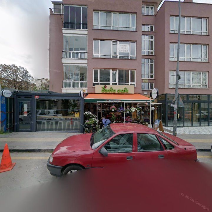 Fotoğraf 9