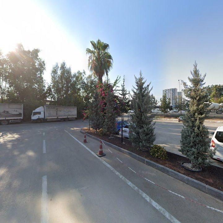 Fotoğraf 6