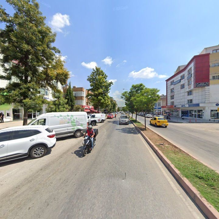 Fotoğraf 7