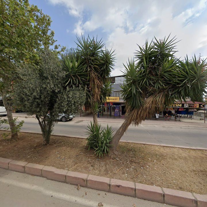 Fotoğraf 7